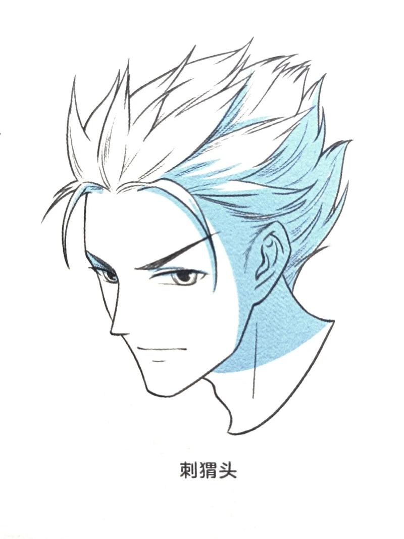 【动漫男生假发图鉴】超实用发型素材大集结 收藏即用！